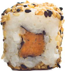 oshi sushi